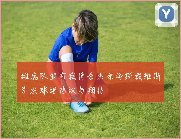 雄鹿队宣布裁掉奈杰尔海斯戴维斯引发球迷热议与期待