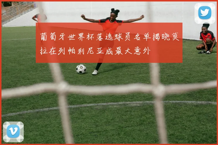 葡萄牙世界杯落选球员名单揭晓莫拉在列帕利尼亚成最大意外