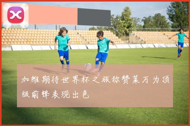 加维期待世界杯之旅称赞莱万为顶级前锋表现出色